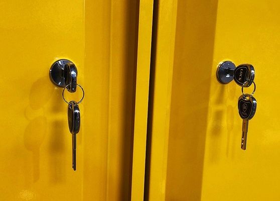 Купить Шкаф для хранения химических веществ размером 109x46x123CM, 109x46x165CM и 109x86x165CM для хранения опасных материалов Производство в сети